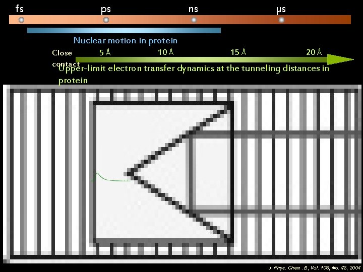 fs ps ns µs Nuclear motion in protein Close contact 5 Ǻ 10 Ǻ