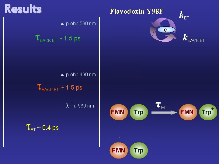 Results Flavodoxin Y 98 F λ τ BACK ET ET ~ e- BACK ET