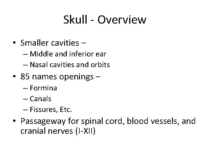 Skull - Overview • Smaller cavities – – Middle and inferior ear – Nasal