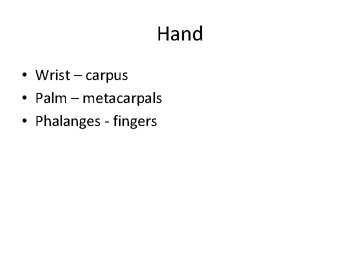 Hand • Wrist – carpus • Palm – metacarpals • Phalanges - fingers 