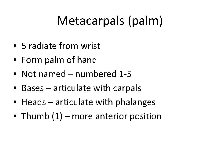 Metacarpals (palm) • • • 5 radiate from wrist Form palm of hand Not