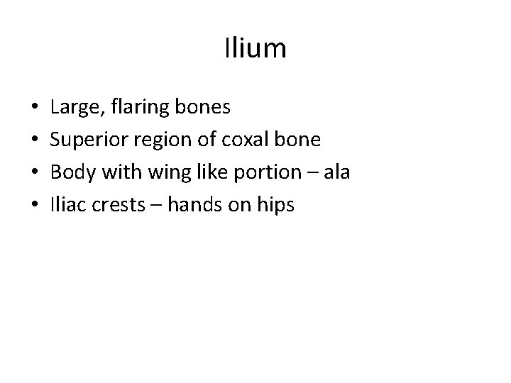Ilium • • Large, flaring bones Superior region of coxal bone Body with wing