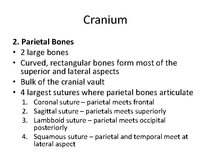 Cranium 2. Parietal Bones • 2 large bones • Curved, rectangular bones form most