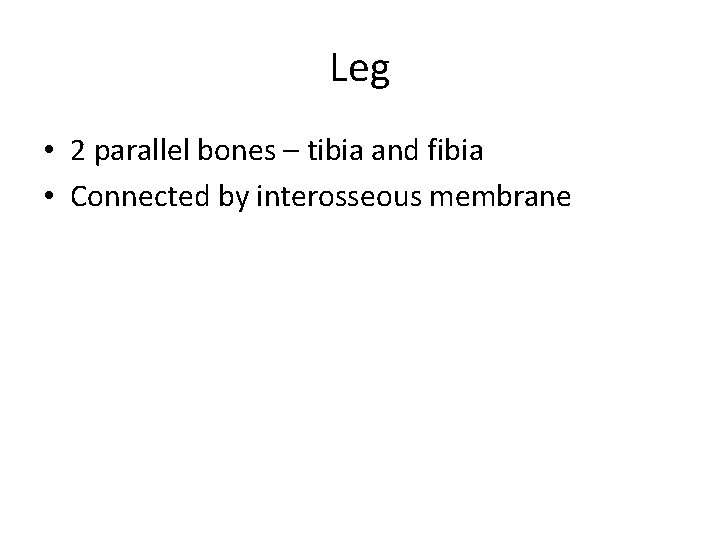Leg • 2 parallel bones – tibia and fibia • Connected by interosseous membrane
