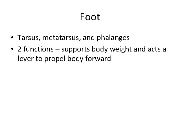Foot • Tarsus, metatarsus, and phalanges • 2 functions – supports body weight and