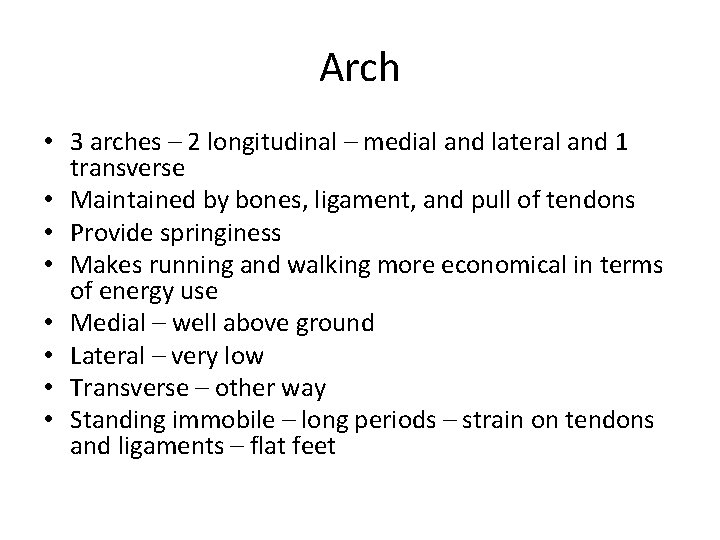 Arch • 3 arches – 2 longitudinal – medial and lateral and 1 transverse