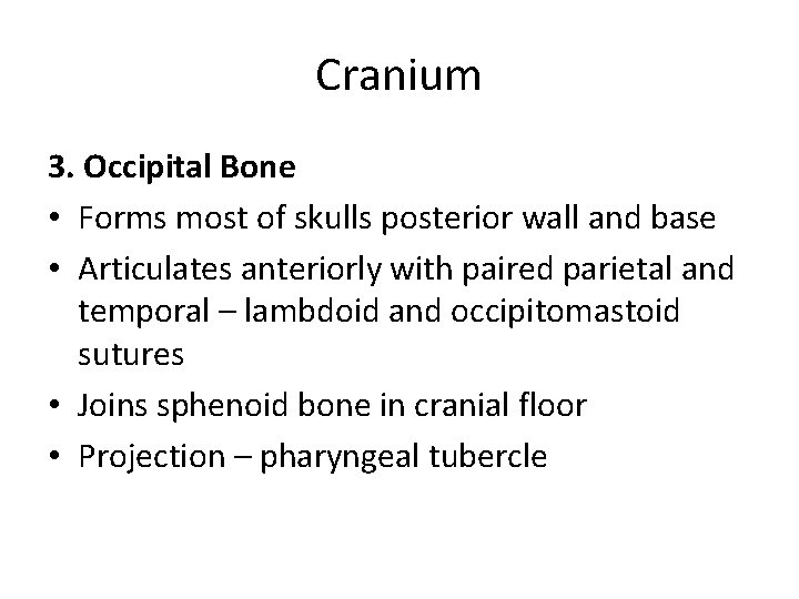 Cranium 3. Occipital Bone • Forms most of skulls posterior wall and base •