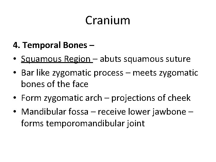 Cranium 4. Temporal Bones – • Squamous Region – abuts squamous suture • Bar