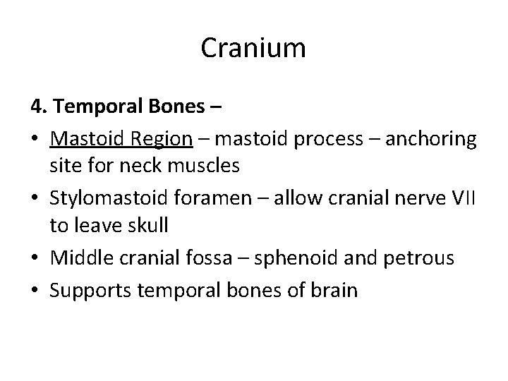 Cranium 4. Temporal Bones – • Mastoid Region – mastoid process – anchoring site