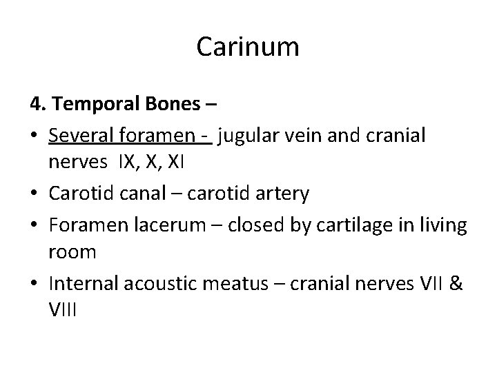 Carinum 4. Temporal Bones – • Several foramen - jugular vein and cranial nerves