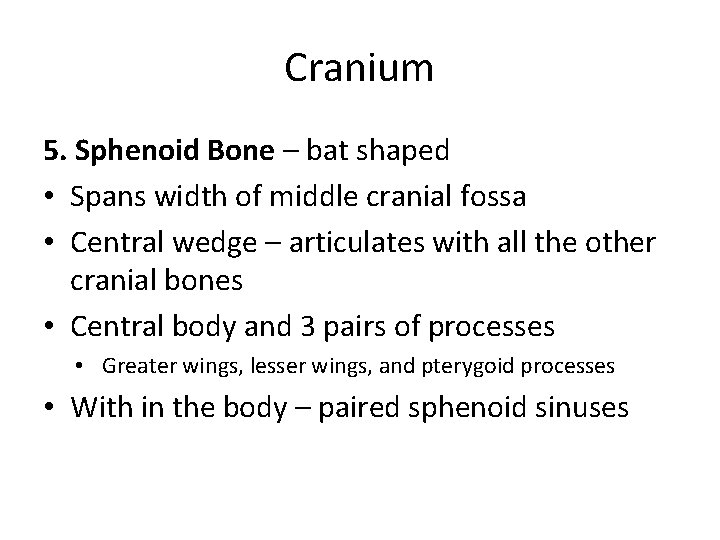 Cranium 5. Sphenoid Bone – bat shaped • Spans width of middle cranial fossa