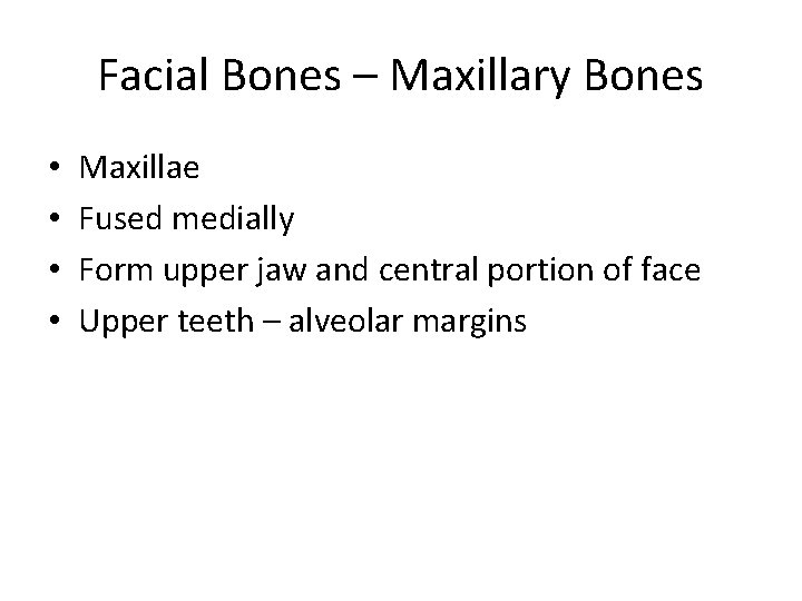 Facial Bones – Maxillary Bones • • Maxillae Fused medially Form upper jaw and