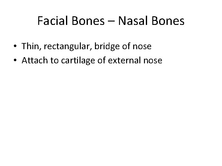 Facial Bones – Nasal Bones • Thin, rectangular, bridge of nose • Attach to