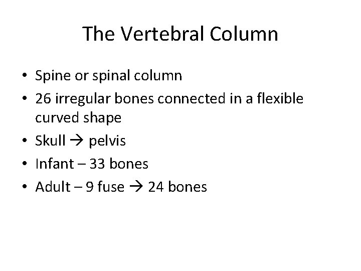 The Vertebral Column • Spine or spinal column • 26 irregular bones connected in