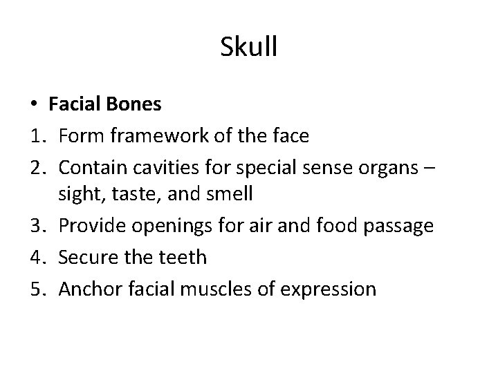 Skull • Facial Bones 1. Form framework of the face 2. Contain cavities for