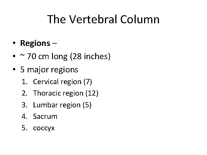 The Vertebral Column • Regions – • ~ 70 cm long (28 inches) •