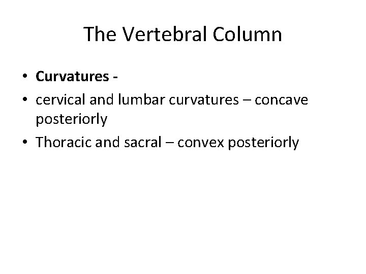 The Vertebral Column • Curvatures • cervical and lumbar curvatures – concave posteriorly •
