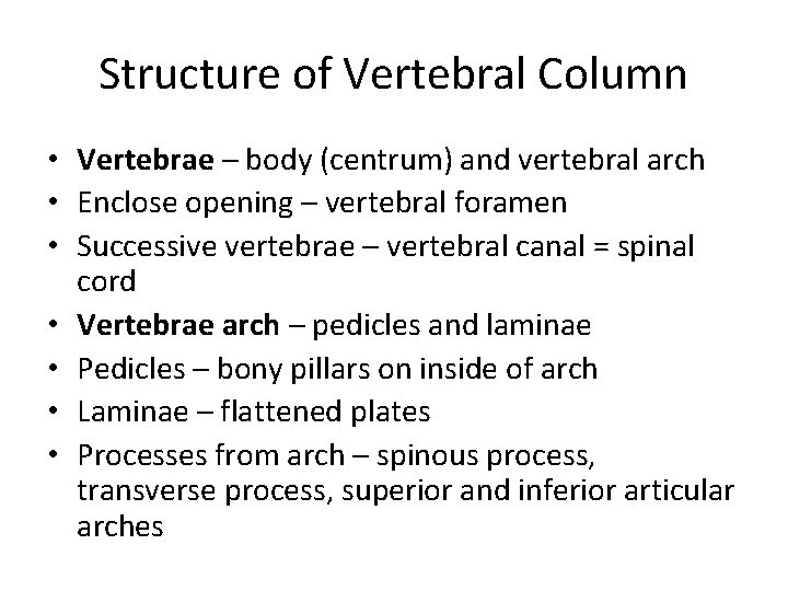 Structure of Vertebral Column • Vertebrae – body (centrum) and vertebral arch • Enclose