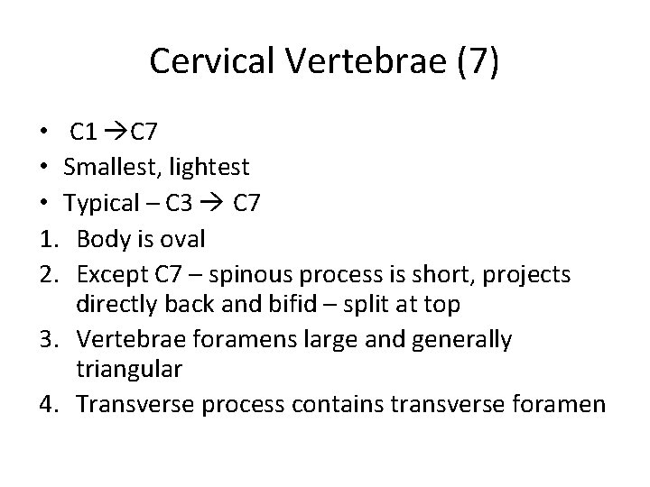 Cervical Vertebrae (7) • C 1 C 7 • Smallest, lightest • Typical –