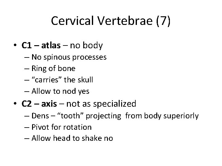 Cervical Vertebrae (7) • C 1 – atlas – no body – No spinous