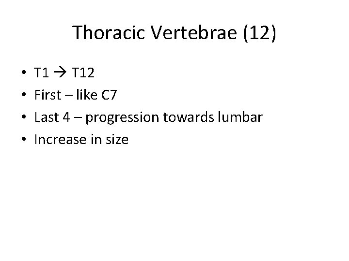 Thoracic Vertebrae (12) • • T 12 First – like C 7 Last 4
