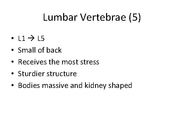 Lumbar Vertebrae (5) • • • L 1 L 5 Small of back Receives