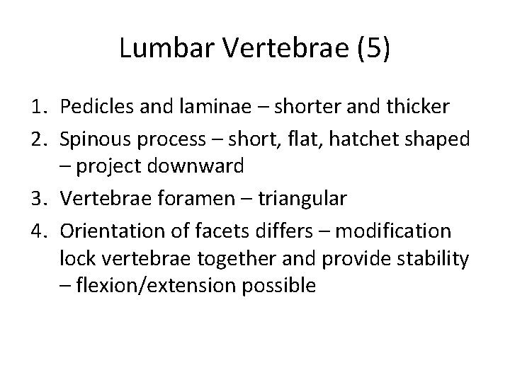 Lumbar Vertebrae (5) 1. Pedicles and laminae – shorter and thicker 2. Spinous process