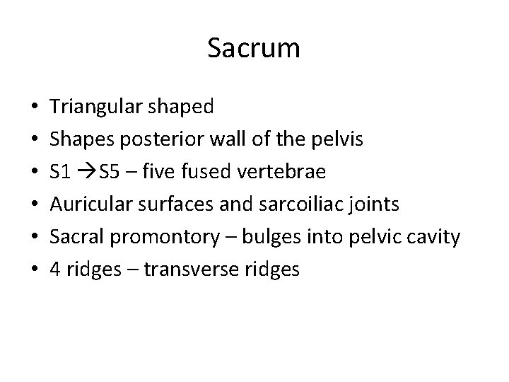 Sacrum • • • Triangular shaped Shapes posterior wall of the pelvis S 1