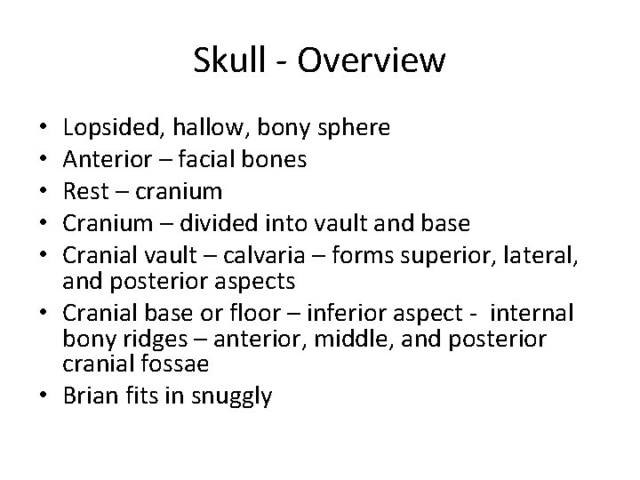 Skull - Overview Lopsided, hallow, bony sphere Anterior – facial bones Rest – cranium