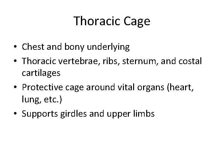 Thoracic Cage • Chest and bony underlying • Thoracic vertebrae, ribs, sternum, and costal