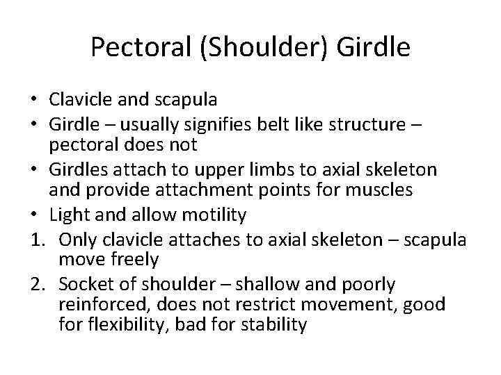 Pectoral (Shoulder) Girdle • Clavicle and scapula • Girdle – usually signifies belt like