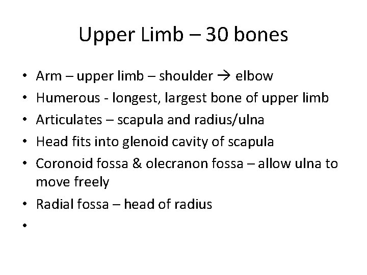 Upper Limb – 30 bones Arm – upper limb – shoulder elbow Humerous -