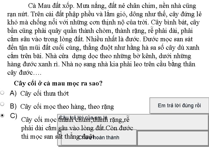 Cà Mau đất xốp. Mưa nắng, đất nẻ chân chim, nền nhà cũng rạn