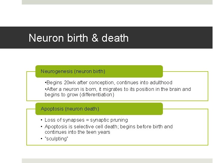 Neuron birth & death Neurogenesis (neuron birth) • Begins 20 wk after conception, continues