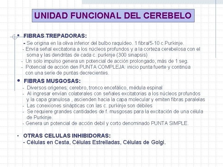 UNIDAD FUNCIONAL DEL CEREBELO • • FIBRAS TREPADORAS: - Se origina en la oliva