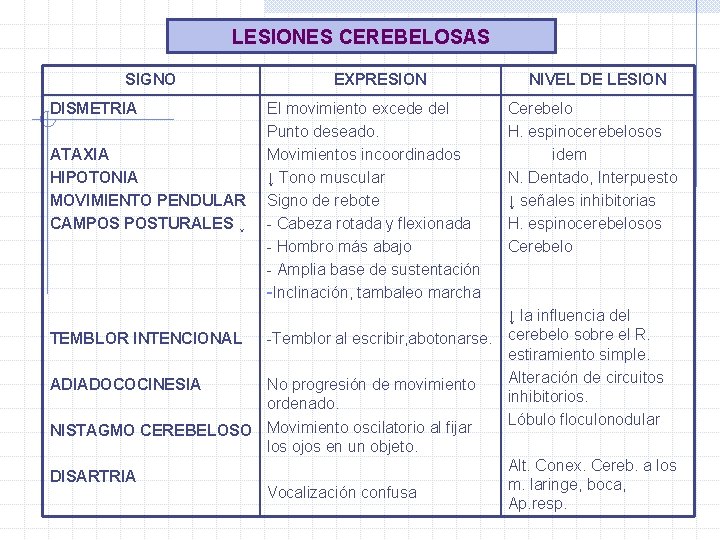 LESIONES CEREBELOSAS SIGNO DISMETRIA ATAXIA HIPOTONIA MOVIMIENTO PENDULAR CAMPOS POSTURALES ↓ EXPRESION El movimiento