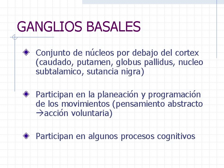 GANGLIOS BASALES Conjunto de núcleos por debajo del cortex (caudado, putamen, globus pallidus, nucleo
