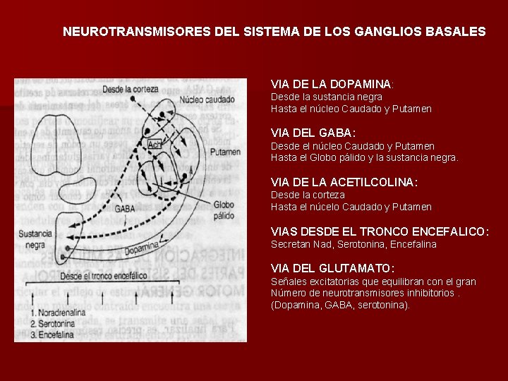 NEUROTRANSMISORES DEL SISTEMA DE LOS GANGLIOS BASALES VIA DE LA DOPAMINA: Desde la sustancia