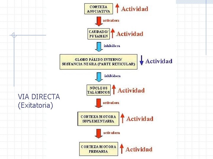 VIA DIRECTA (Exitatoria) 
