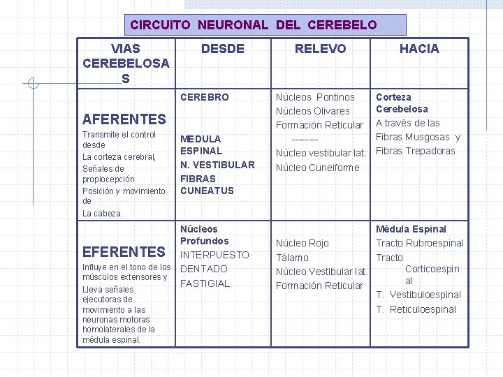 CIRCUITO NEURONAL DEL CEREBELO VIAS CEREBELOSA S DESDE CEREBRO AFERENTES Transmite el control desde