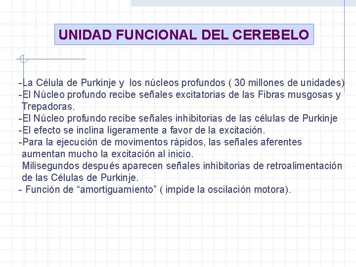 UNIDAD FUNCIONAL DEL CEREBELO -La Célula de Purkinje y los núcleos profundos ( 30