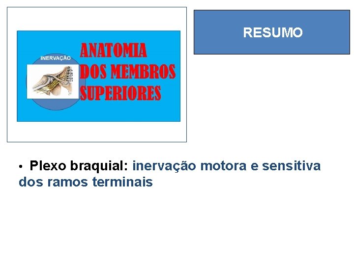 RESUMO • Plexo braquial: inervação motora e sensitiva dos ramos terminais 
