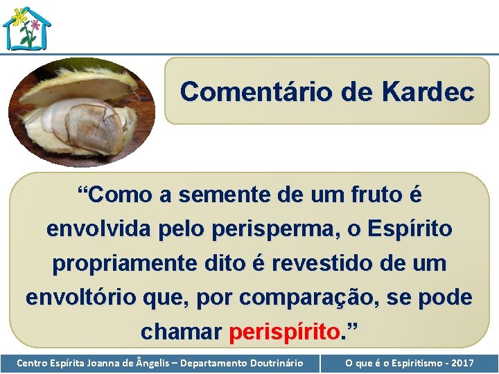 Comentário de Kardec “Como a semente de um fruto é envolvida pelo perisperma, o