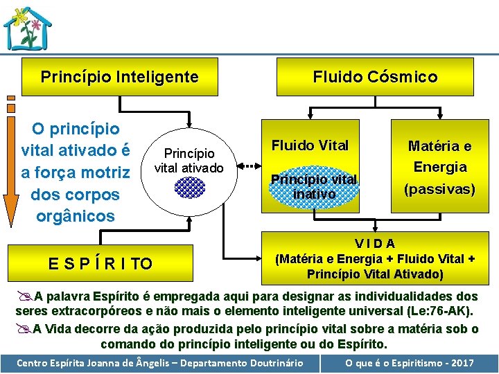 Fluido Cósmico Princípio Inteligente O princípio vital ativado é a força motriz dos corpos