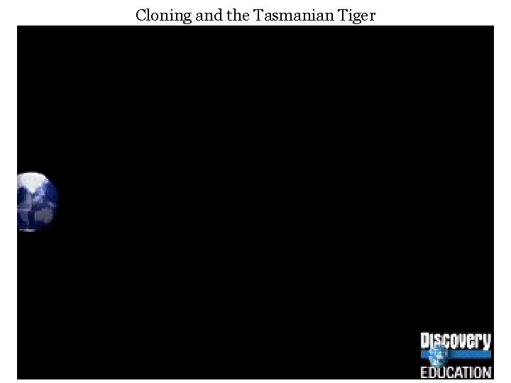 Cloning and the Tasmanian Tiger 