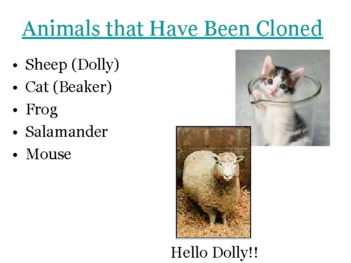 Animals that Have Been Cloned • • • Sheep (Dolly) Cat (Beaker) Frog Salamander