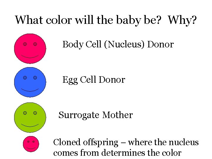 What color will the baby be? Why? Body Cell (Nucleus) Donor Egg Cell Donor
