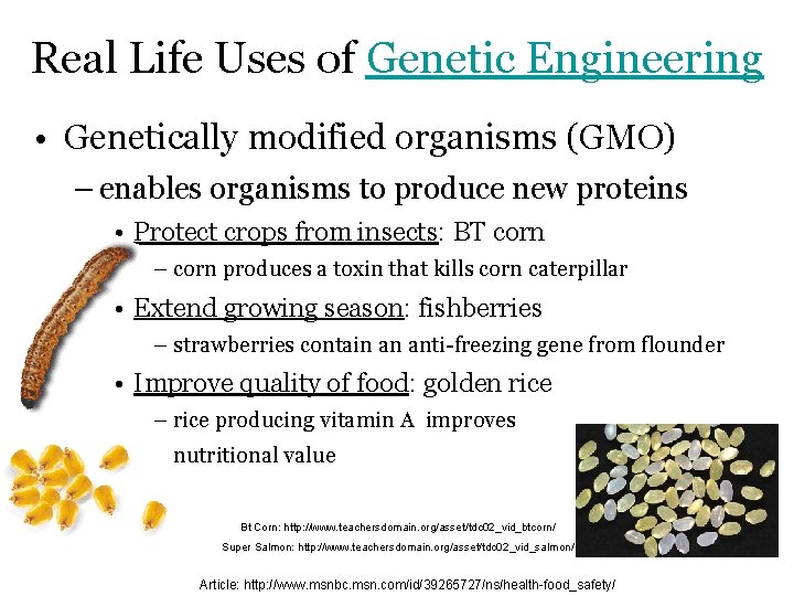 Real Life Uses of Genetic Engineering • Genetically modified organisms (GMO) – enables organisms