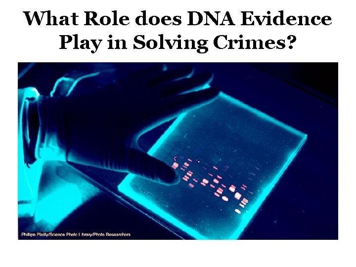 What Role does DNA Evidence Play in Solving Crimes? 