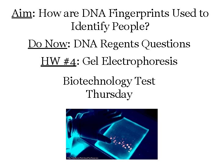 Aim: How are DNA Fingerprints Used to Identify People? Do Now: DNA Regents Questions